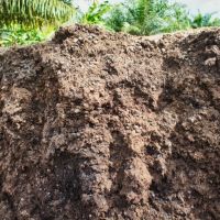 Mischung aus Fasern und Kernen, wie sie aus der Presse kommen. Sie wird in Sieben getrennt. Die Fasern werden z.T. zum Zündeln benutzt aber mehrheitlich als Mulch aufs Feld gebracht.