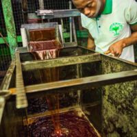 Das gereinigte "Crude Palm Oil" mit seiner charakteristischen, kräftig roten Farbe.