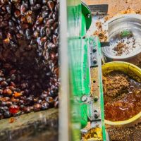 Blick von oben in den Einzug der Schraubenpresse. Der Press Liquor - rechts in der Schüssel zur Veranschaulichung - wird in einen Speichertank zur Weiterbehandlung gepumpt. Faser und Kerne werden separat gesammelt (Schüssel am oberen Bildrand).
