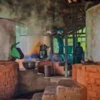 Dampftöpfe in Aktion: Wasserdampf wandert durch die Früchte und dämpft sie weich.